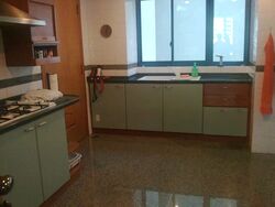 The Legend (D10), Condominium #562139611